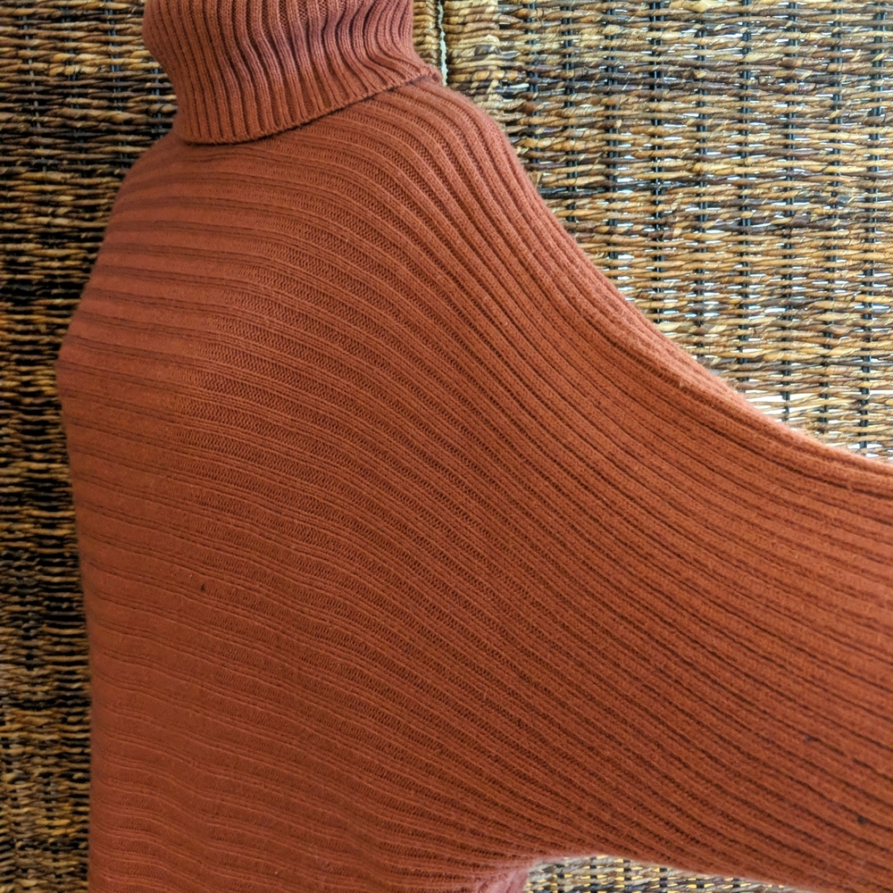 FARROW Batwing Turtleneck Sweater